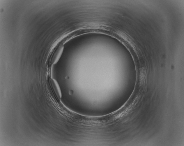 X0000083610925200702121111