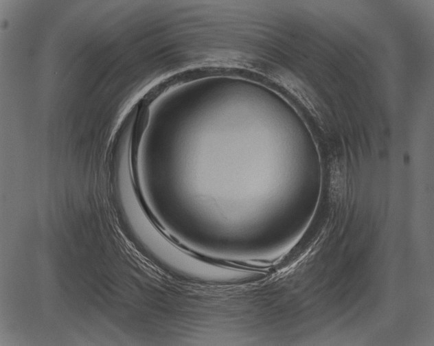 X0000083610926200702121111