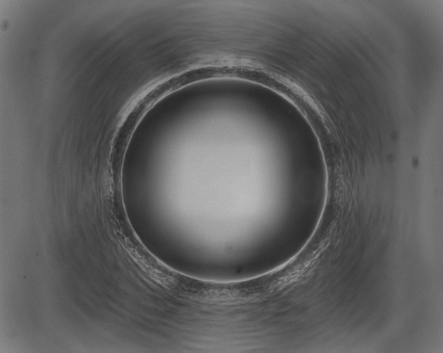 X0000083610927200702121111