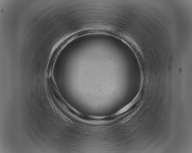 X0000083610928200702121111