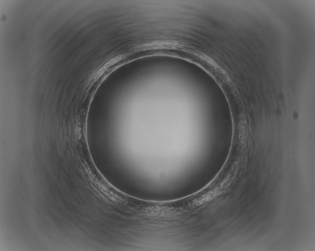 X0000083610929200702121111