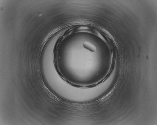 X0000083610930200702121111