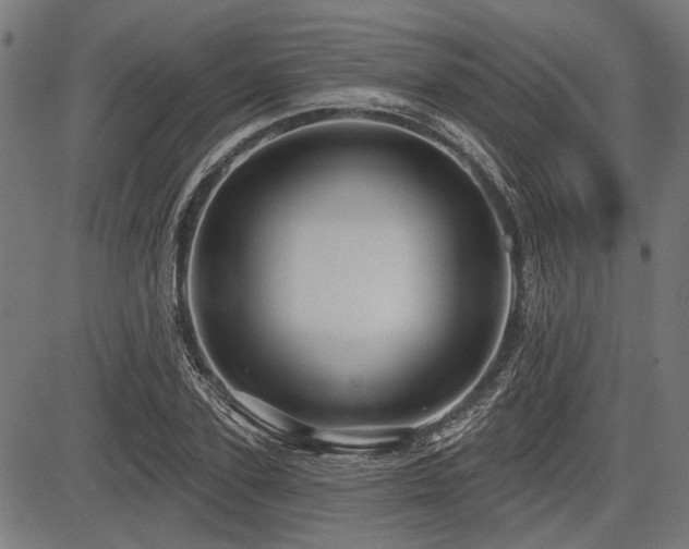 X0000083610931200702121111