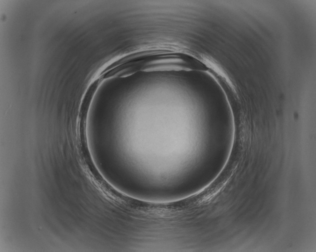 X0000083610932200702121111