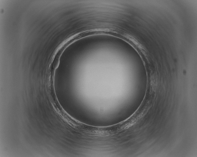 X0000083610933200702121111