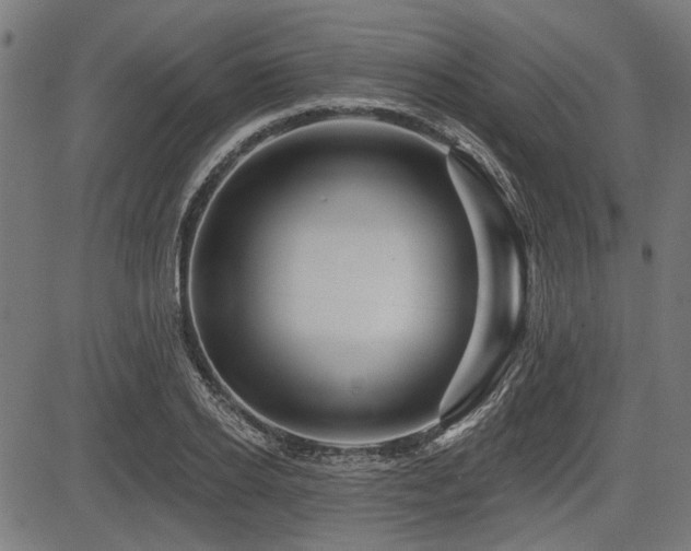 X0000083610934200702121111