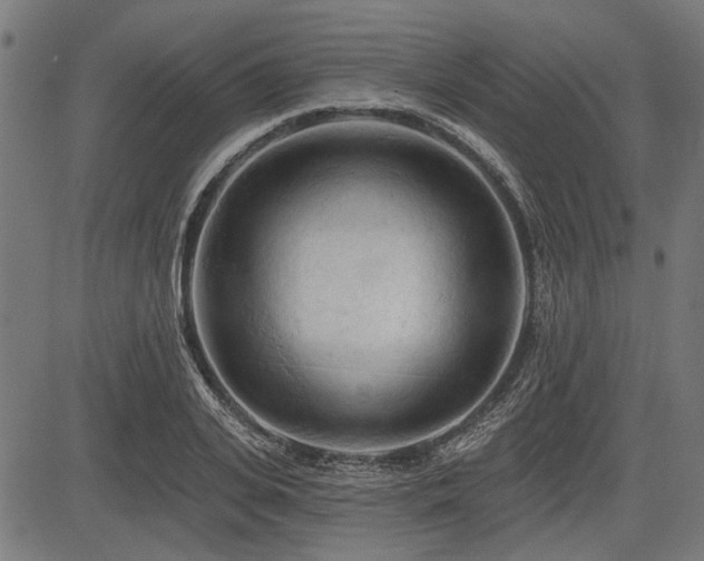 X0000083610935200702121111