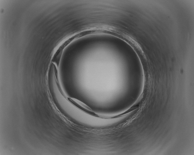 X0000083610936200702121111