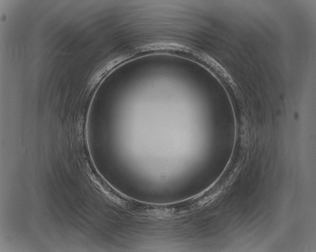 X0000083610937200702121111