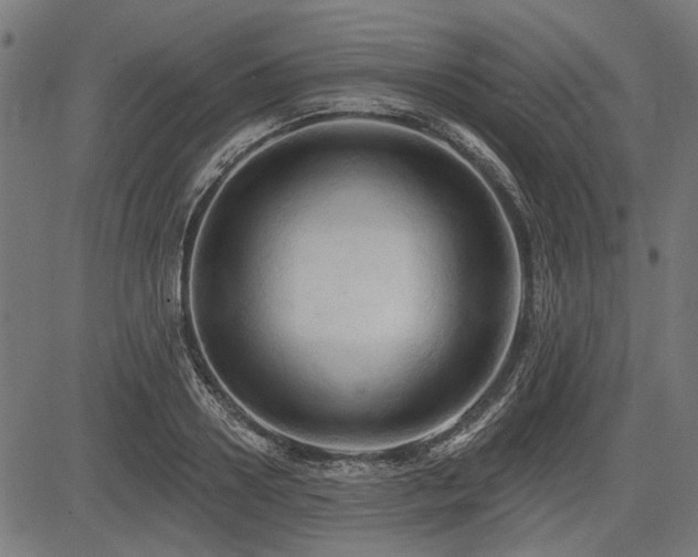 X0000083610938200702121111