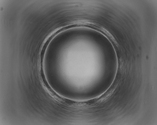 X0000083610939200702121112