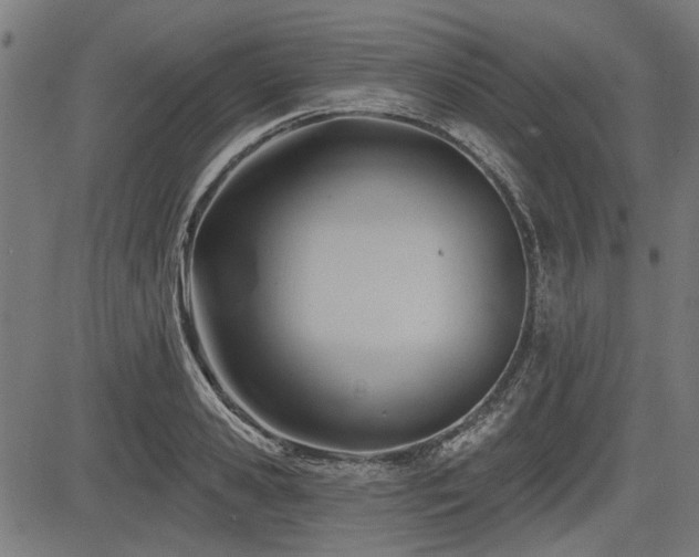 X0000083610941200702121112