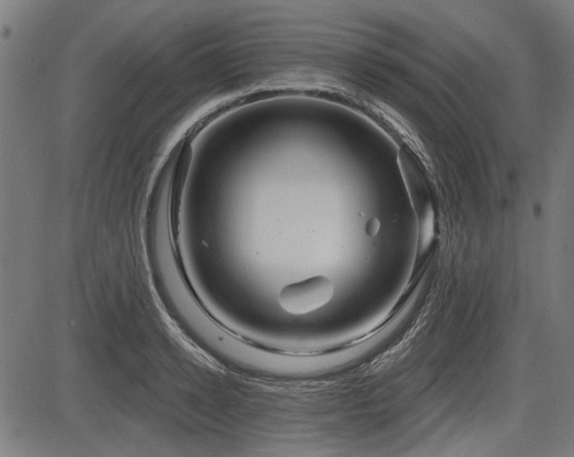 X0000083610942200702121112