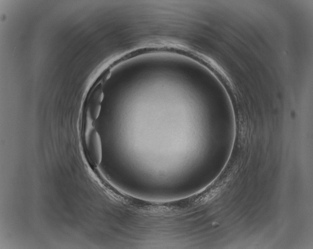 X0000083610943200702121112