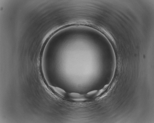 X0000083610944200702121112