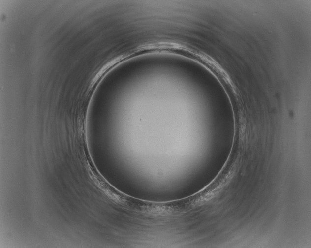 X0000083610945200702121112