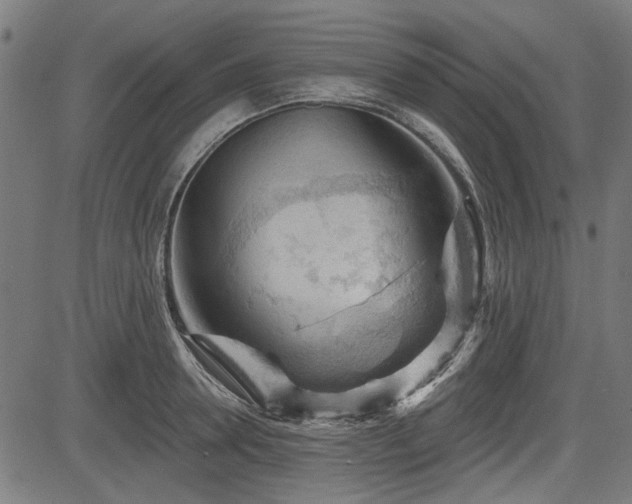 X0000083610946200702121112