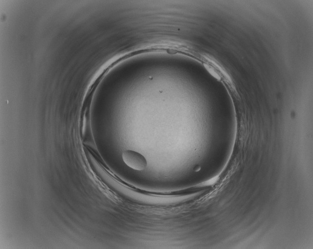 X0000083610948200702121112