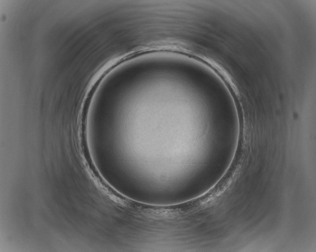 X0000083610949200702121112