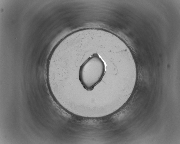 X0000083610950200702121112