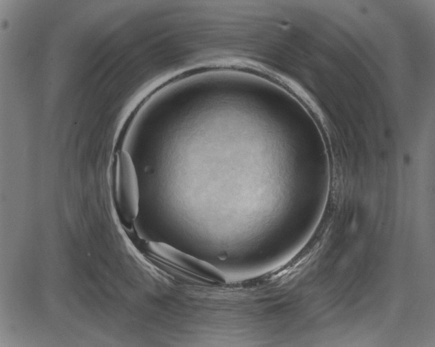 X0000083610951200702121112