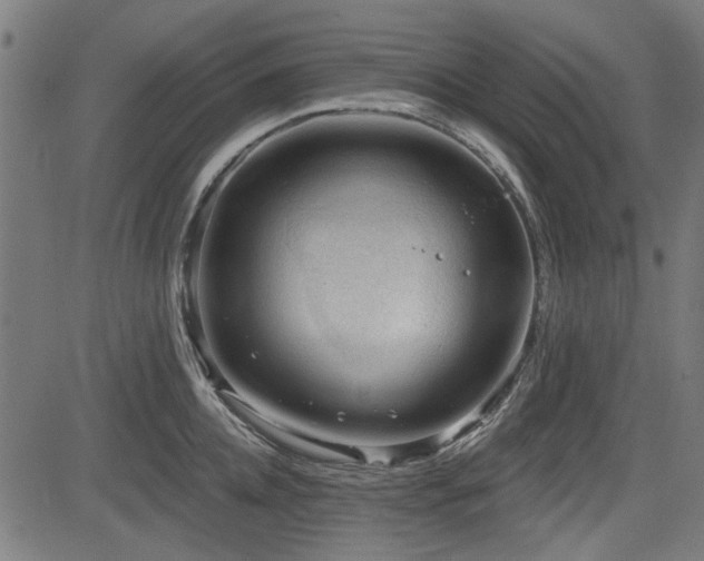 X0000083610952200702121112