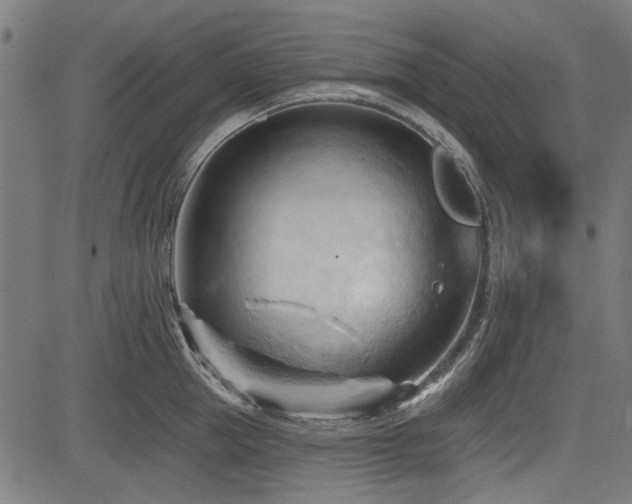 X0000083610953200702121112