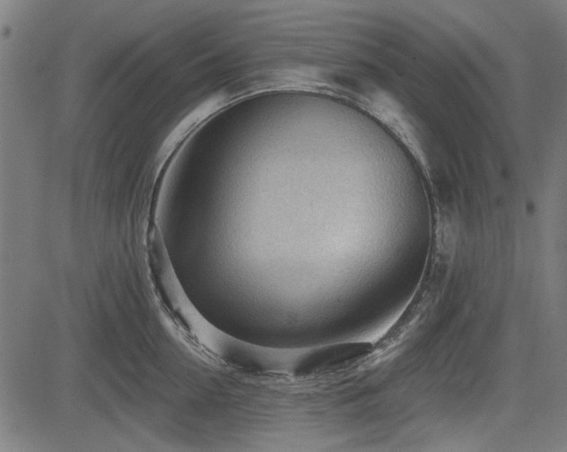 X0000083610954200702121112