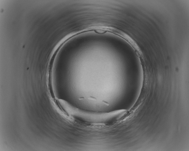 X0000083610955200702121112