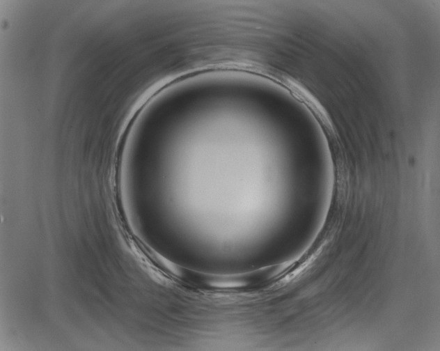 X0000083610956200702121112