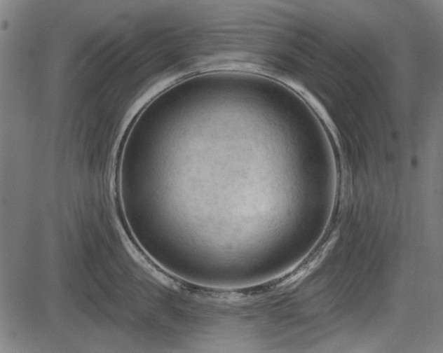 X0000083610957200702121112