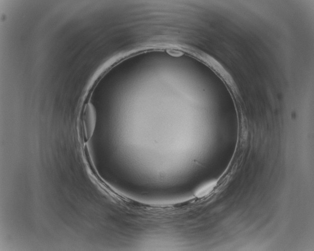 X0000083610958200702121112