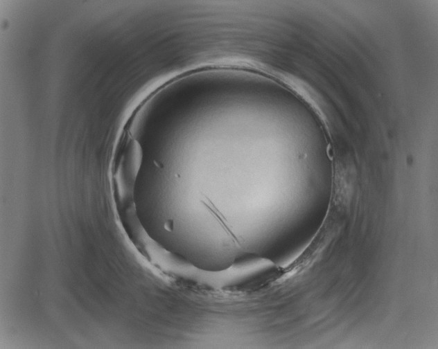 X0000083610959200702121112