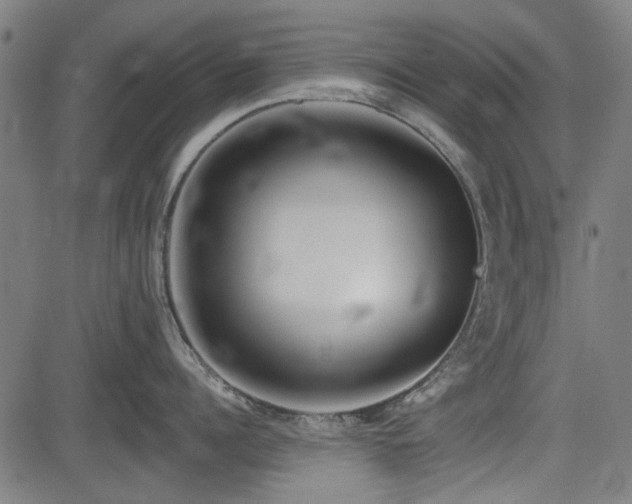 X0000083610960200702121112