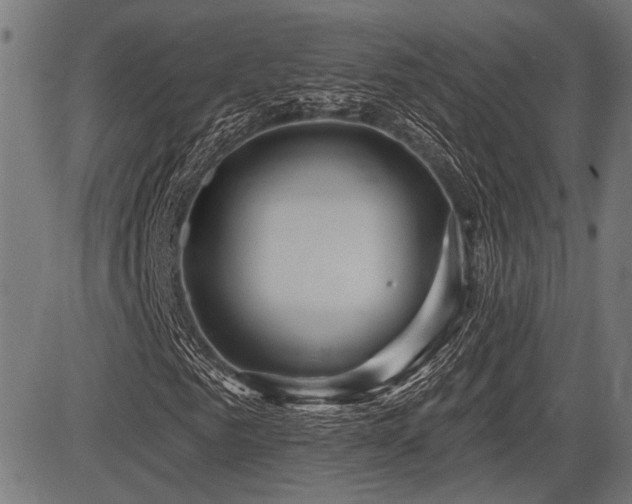 X0000083610961200702121111