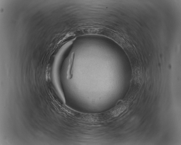 X0000083610962200702121111