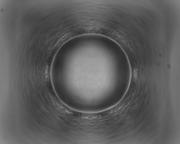 X0000083610963200702121111