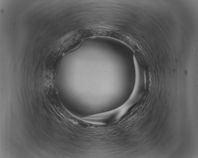 X0000083610964200702121111