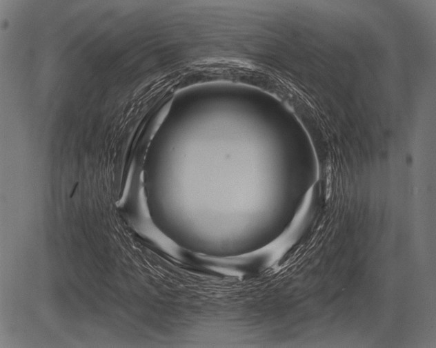 X0000083610965200702121111