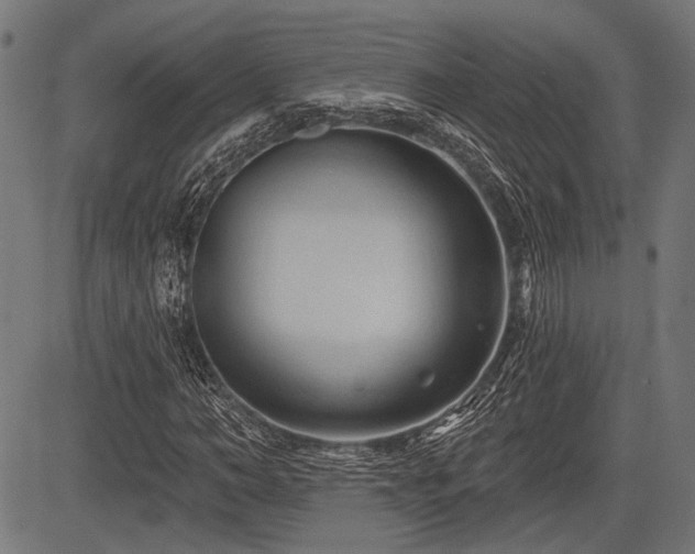 X0000083610966200702121111