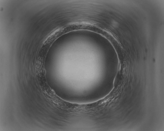 X0000083610967200702121111