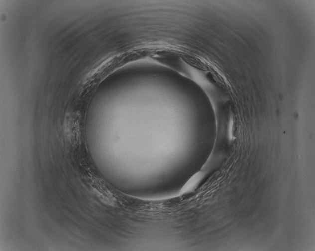 X0000083610968200702121111