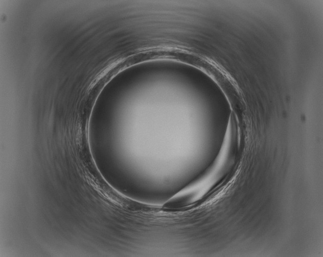 X0000083610969200702121111