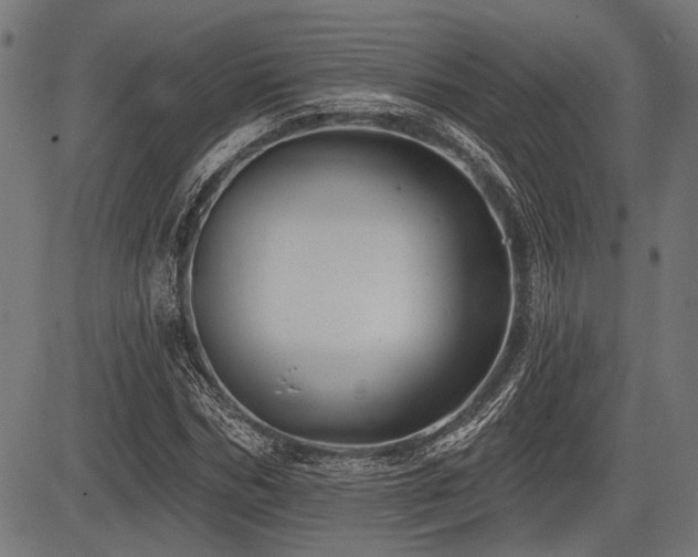 X0000083610970200702121111