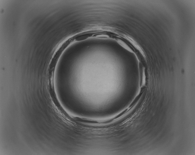 X0000083610972200702121111