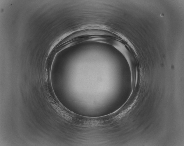 X0000083610973200702121111