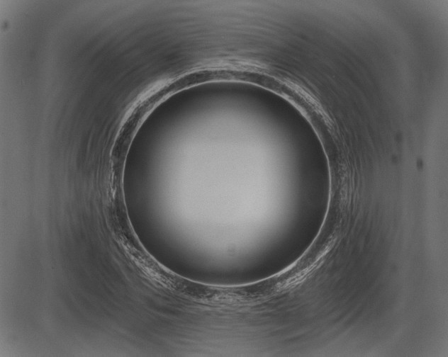 X0000083610974200702121111