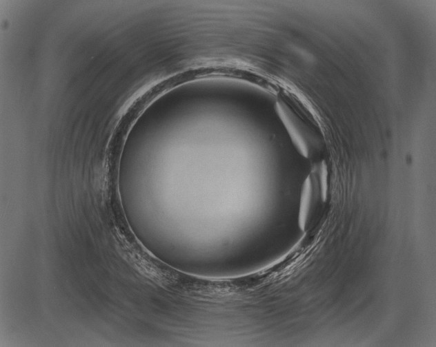 X0000083610975200702121111