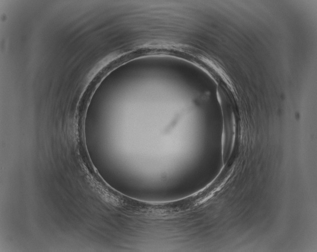 X0000083610976200702121111