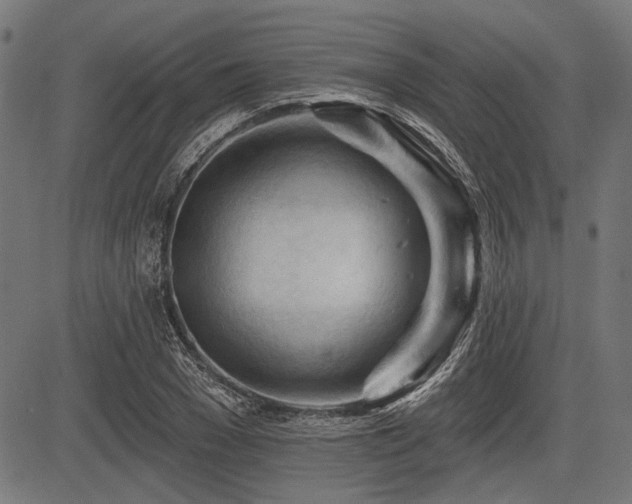 X0000083610977200702121111